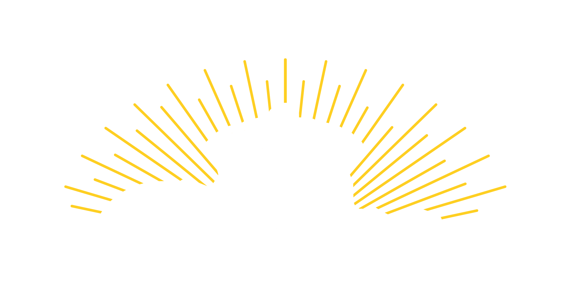 Corona Extra Birra USA Apribottiglie BAR Tool Lettore Apri Palma Sole Logo 