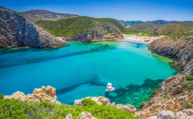 CALA DOMESTICA